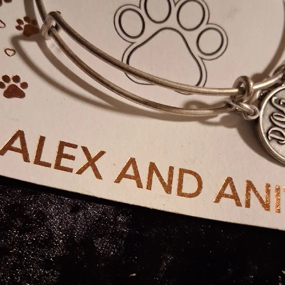 Alex and Ani Silver and Orange Dog Lover's Charm